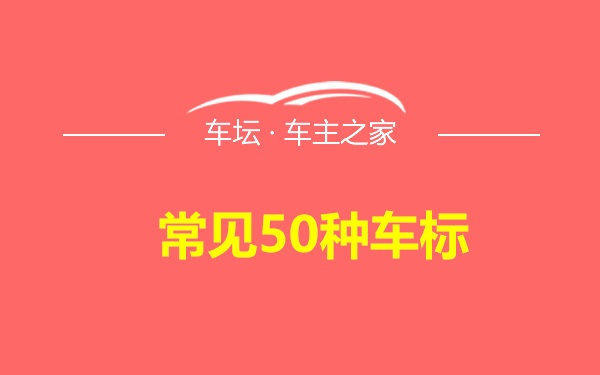 常见50种车标