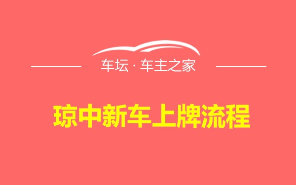 琼中新车上牌流程