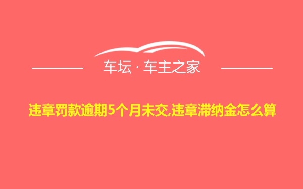 违章罚款逾期5个月未交,违章滞纳金怎么算