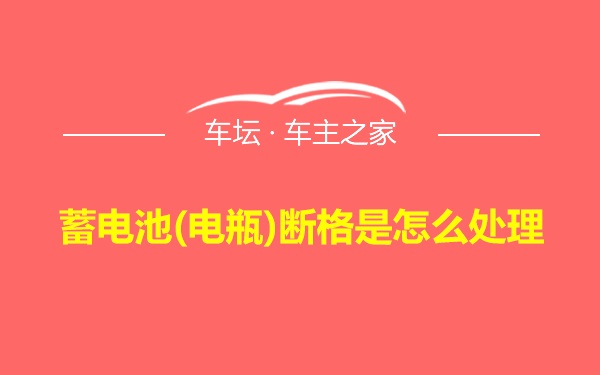 蓄电池(电瓶)断格是怎么处理