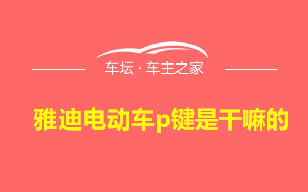 雅迪电动车p键是干嘛的