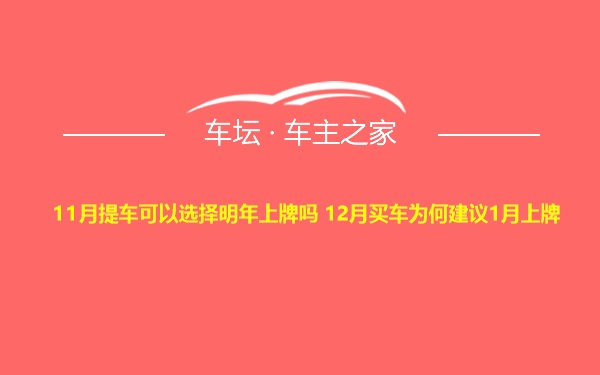 11月提车可以选择明年上牌吗 12月买车为何建议1月上牌