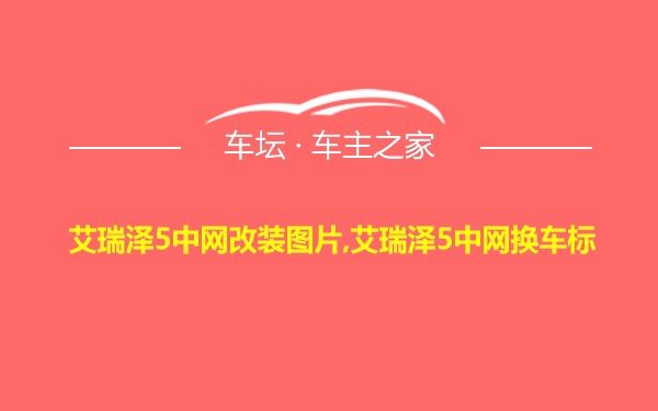 艾瑞泽5中网改装图片,艾瑞泽5中网换车标