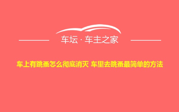 车上有跳蚤怎么彻底消灭 车里去跳蚤最简单的方法