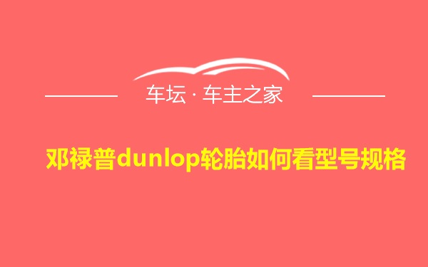 邓禄普dunlop轮胎如何看型号规格