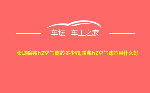 长城哈弗h2空气滤芯多少钱,哈弗h2空气滤芯用什么好