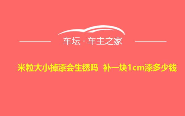 米粒大小掉漆会生锈吗 补一块1cm漆多少钱