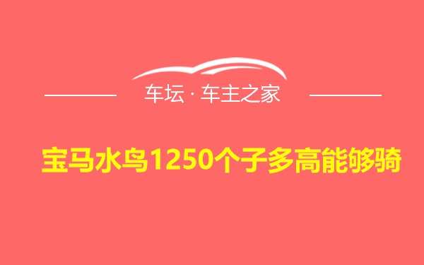 宝马水鸟1250个子多高能够骑