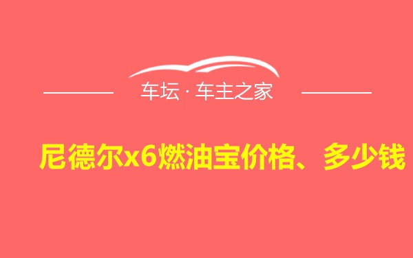 尼德尔x6燃油宝价格、多少钱