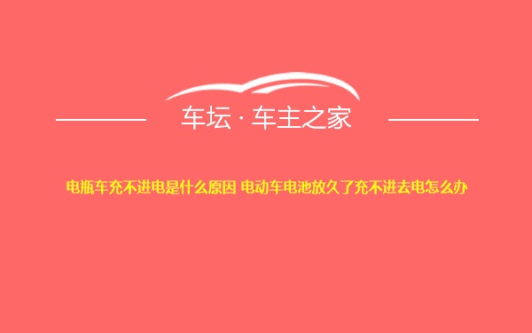 电瓶车充不进电是什么原因 电动车电池放久了充不进去电怎么办