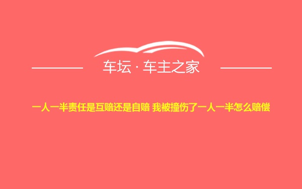 一人一半责任是互赔还是自赔 我被撞伤了一人一半怎么赔偿