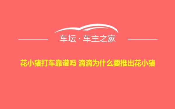 花小猪打车靠谱吗 滴滴为什么要推出花小猪