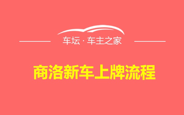 商洛新车上牌流程