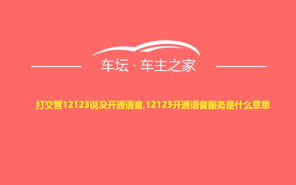 打交管12123说没开通语音,12123开通语音服务是什么意思