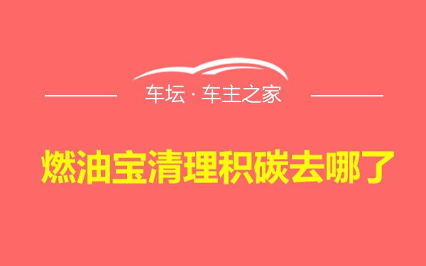 燃油宝清理积碳去哪了