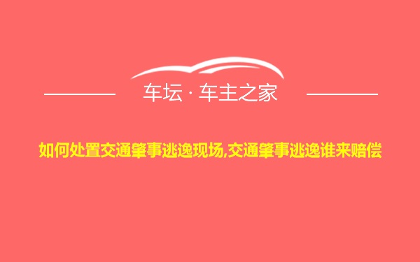 如何处置交通肇事逃逸现场,交通肇事逃逸谁来赔偿