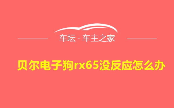 贝尔电子狗rx65没反应怎么办