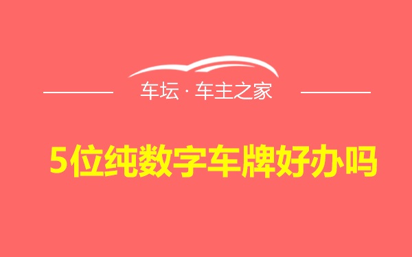 5位纯数字车牌好办吗