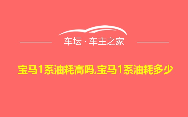 宝马1系油耗高吗,宝马1系油耗多少