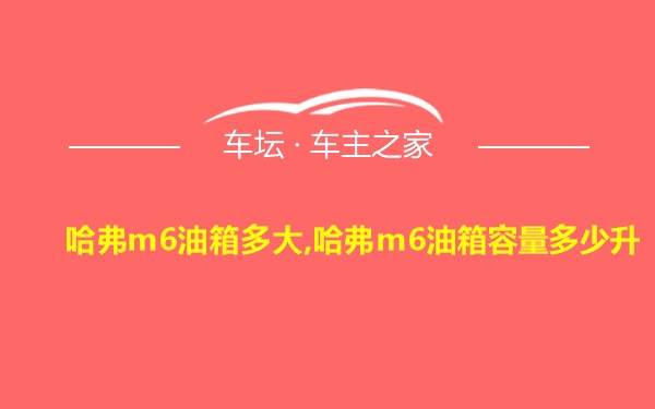 哈弗m6油箱多大,哈弗m6油箱容量多少升