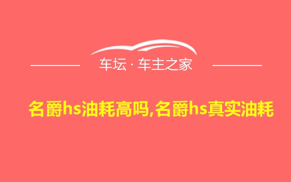 名爵hs油耗高吗,名爵hs真实油耗