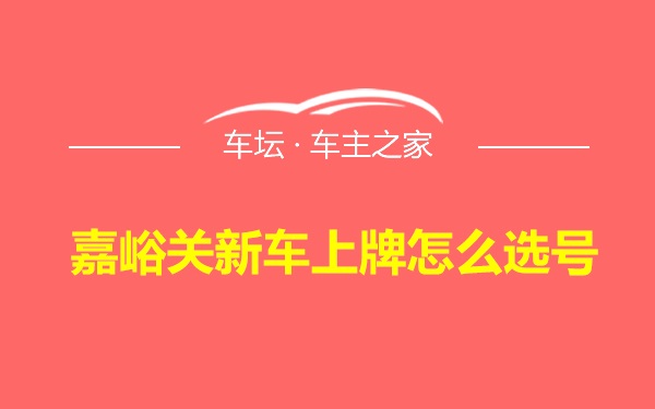 嘉峪关新车上牌怎么选号