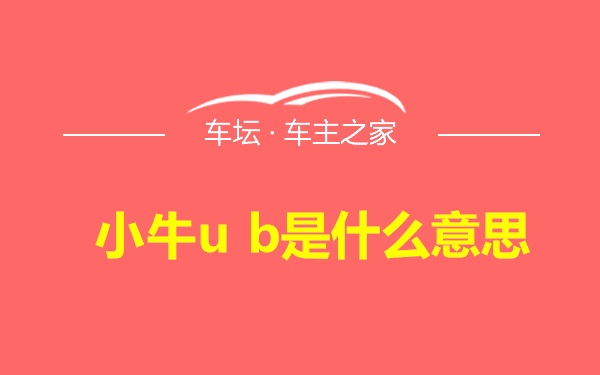 小牛u b是什么意思