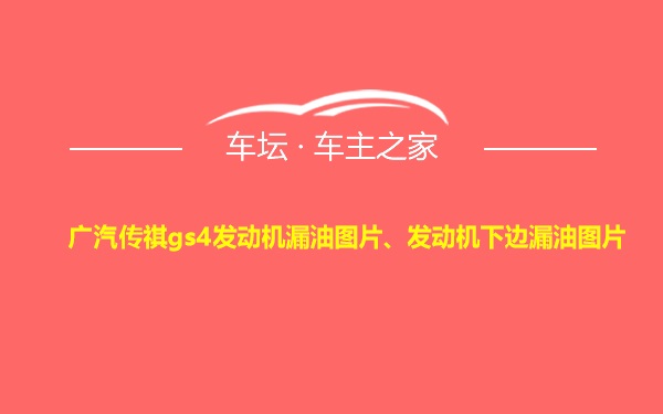 广汽传祺gs4发动机漏油图片、发动机下边漏油图片