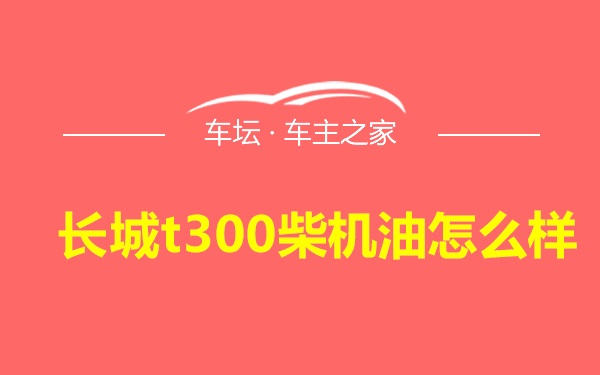 长城t300柴机油怎么样