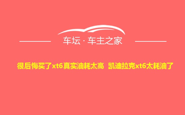 很后悔买了xt6真实油耗太高 凯迪拉克xt6太耗油了