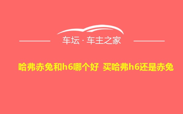 哈弗赤兔和h6哪个好 买哈弗h6还是赤兔