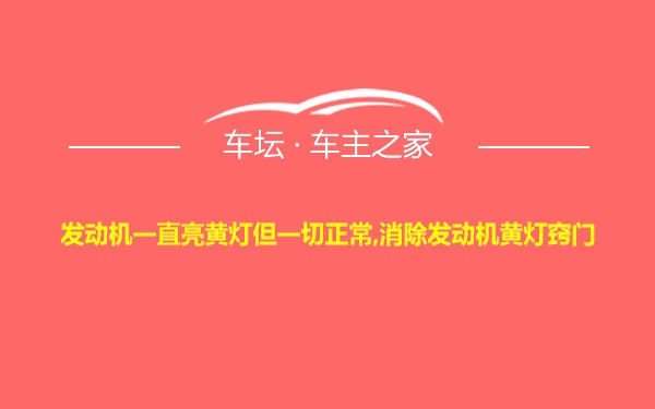 发动机一直亮黄灯但一切正常,消除发动机黄灯窍门