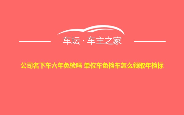 公司名下车六年免检吗 单位车免检车怎么领取年检标