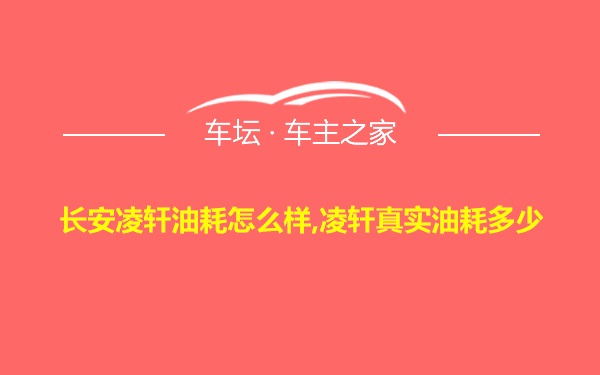 长安凌轩油耗怎么样,凌轩真实油耗多少