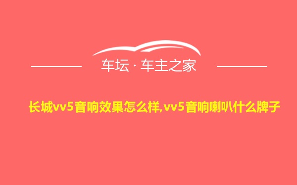 长城vv5音响效果怎么样,vv5音响喇叭什么牌子