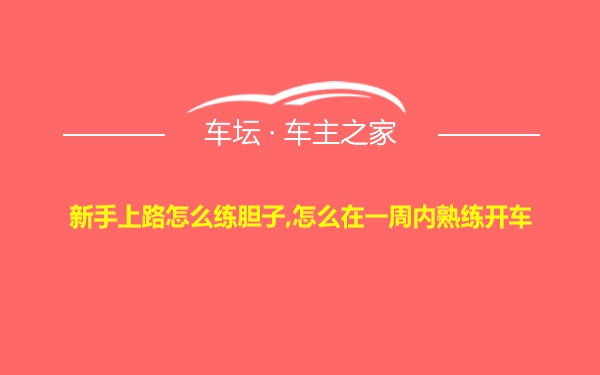 新手上路怎么练胆子,怎么在一周内熟练开车