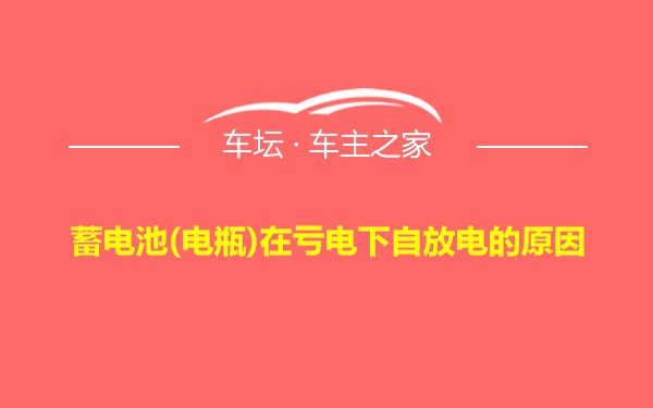 蓄电池(电瓶)在亏电下自放电的原因