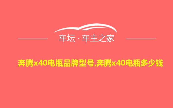 奔腾x40电瓶品牌型号,奔腾x40电瓶多少钱