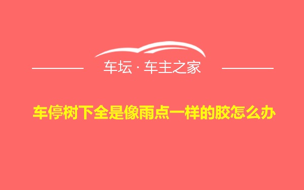 车停树下全是像雨点一样的胶怎么办