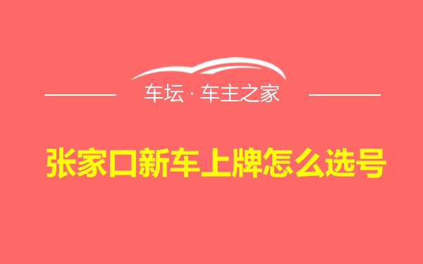 张家口新车上牌怎么选号