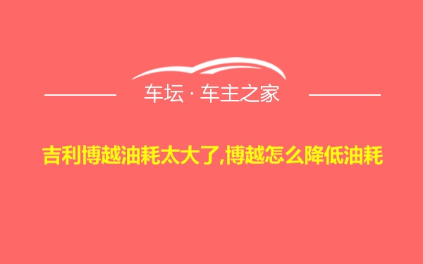 吉利博越油耗太大了,博越怎么降低油耗