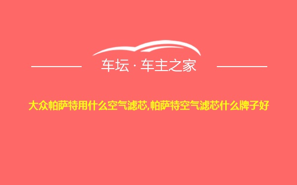 大众帕萨特用什么空气滤芯,帕萨特空气滤芯什么牌子好