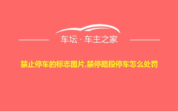 禁止停车的标志图片,禁停路段停车怎么处罚