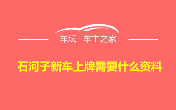 石河子新车上牌需要什么资料