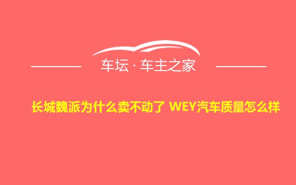 长城魏派为什么卖不动了 WEY汽车质量怎么样