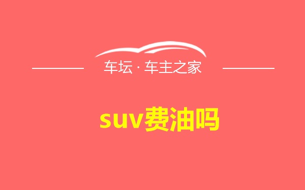 suv费油吗