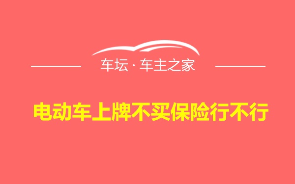 电动车上牌不买保险行不行