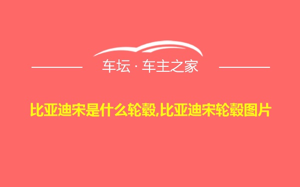 比亚迪宋是什么轮毂,比亚迪宋轮毂图片