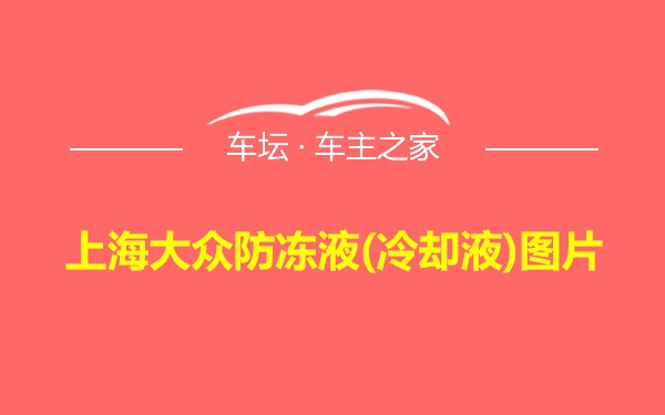 上海大众防冻液(冷却液)图片