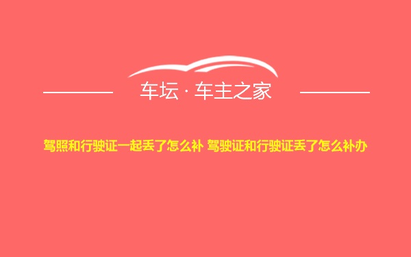 驾照和行驶证一起丢了怎么补 驾驶证和行驶证丢了怎么补办